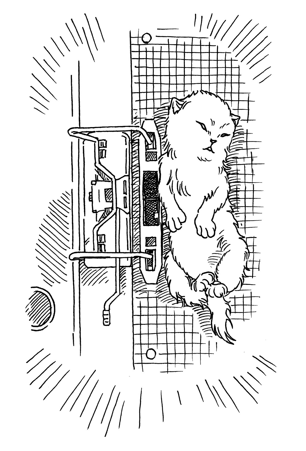 - Prédateurs- page 22