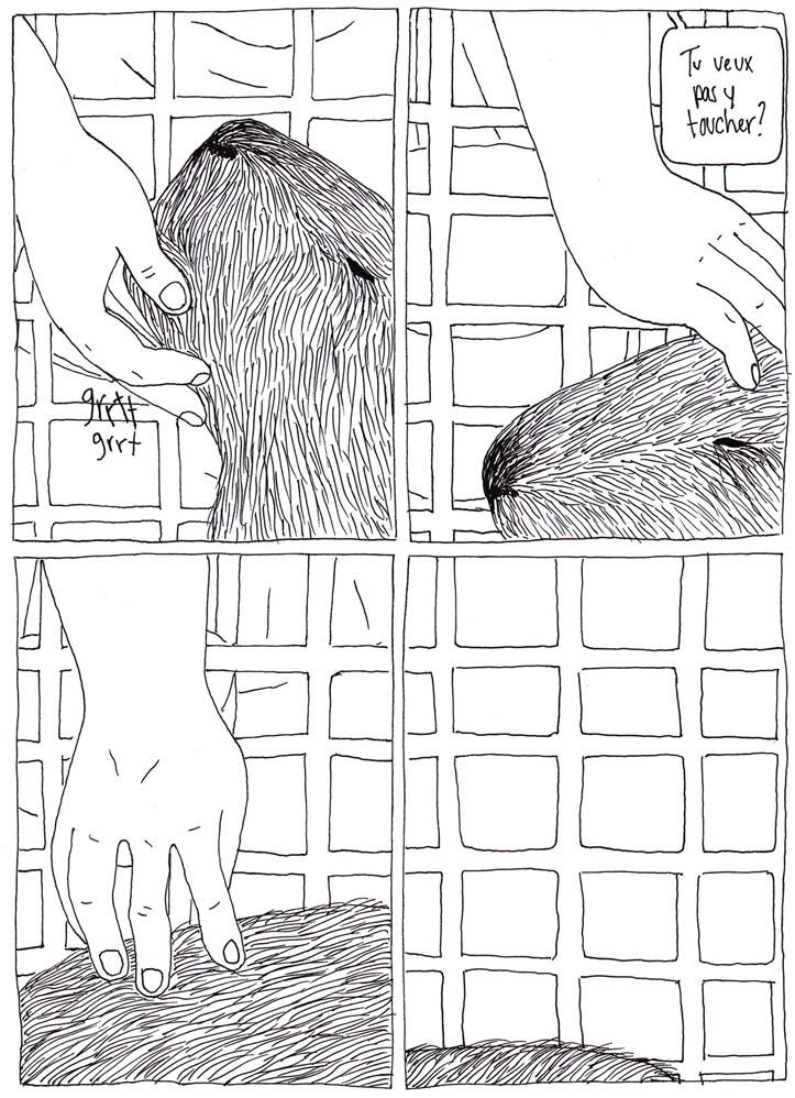 - Viande et substitut- page 12