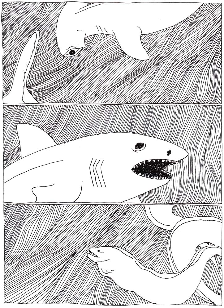 - Viande et substitut- page 19