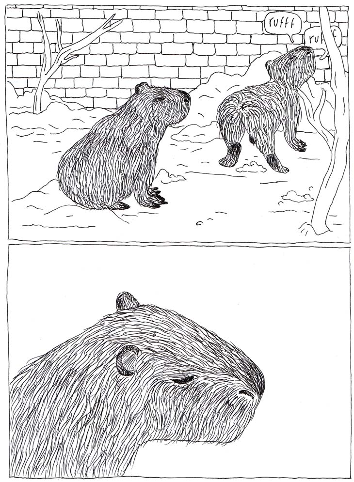 - Viande et substitut- page 7