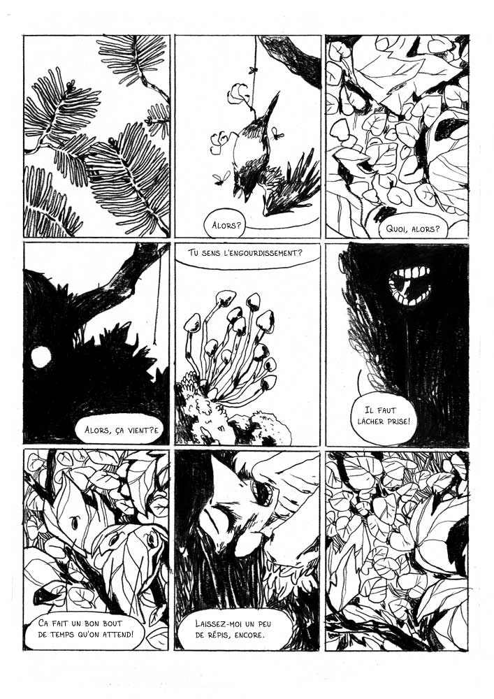 - Sauvage, ou la sagesse des pierres.- page 2