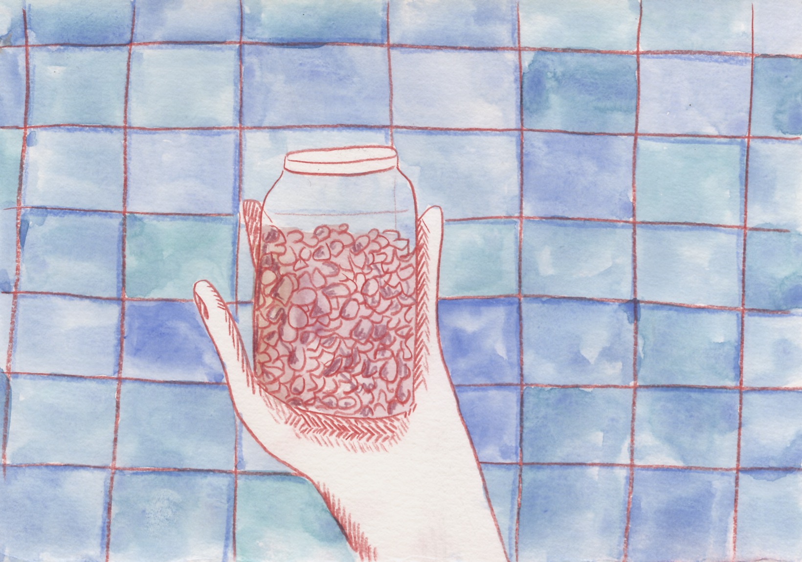 - Mes milliards de coquillages- page 11