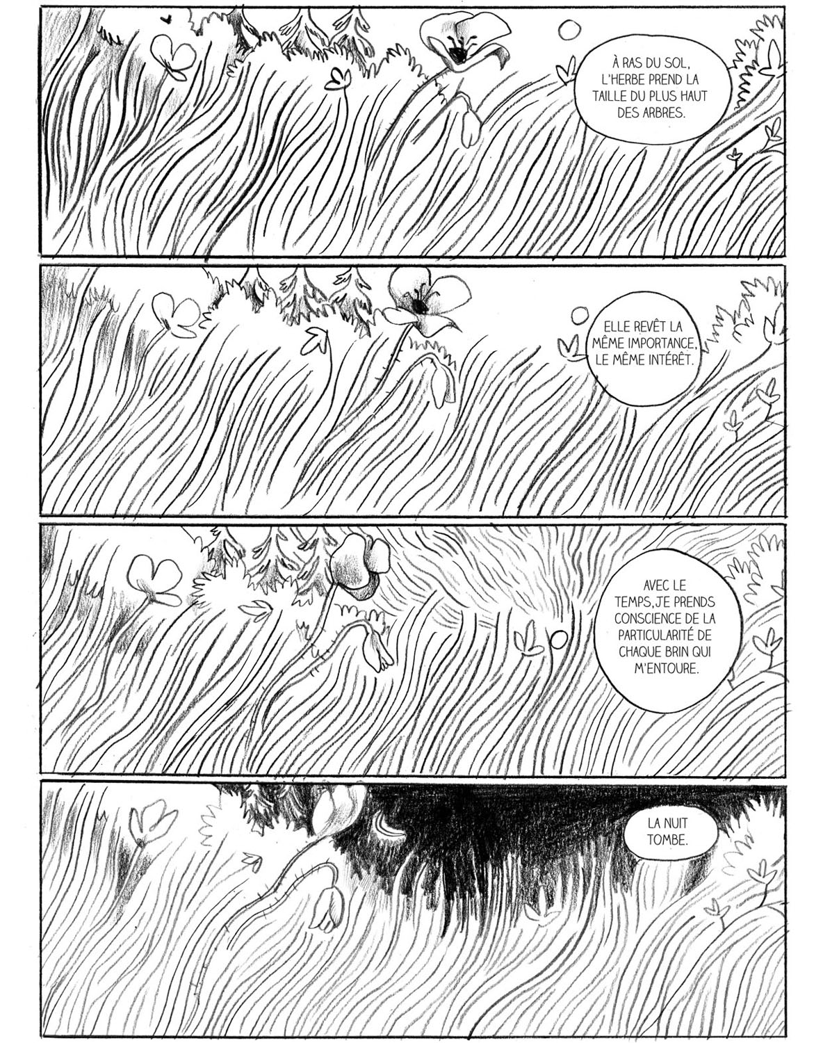 - Sauvage, ou la sagesse des pierres.- page 117