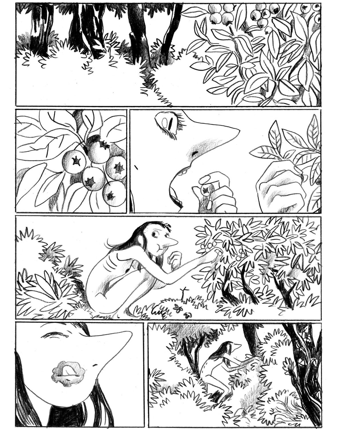 - Sauvage, ou la sagesse des pierres.- page 119