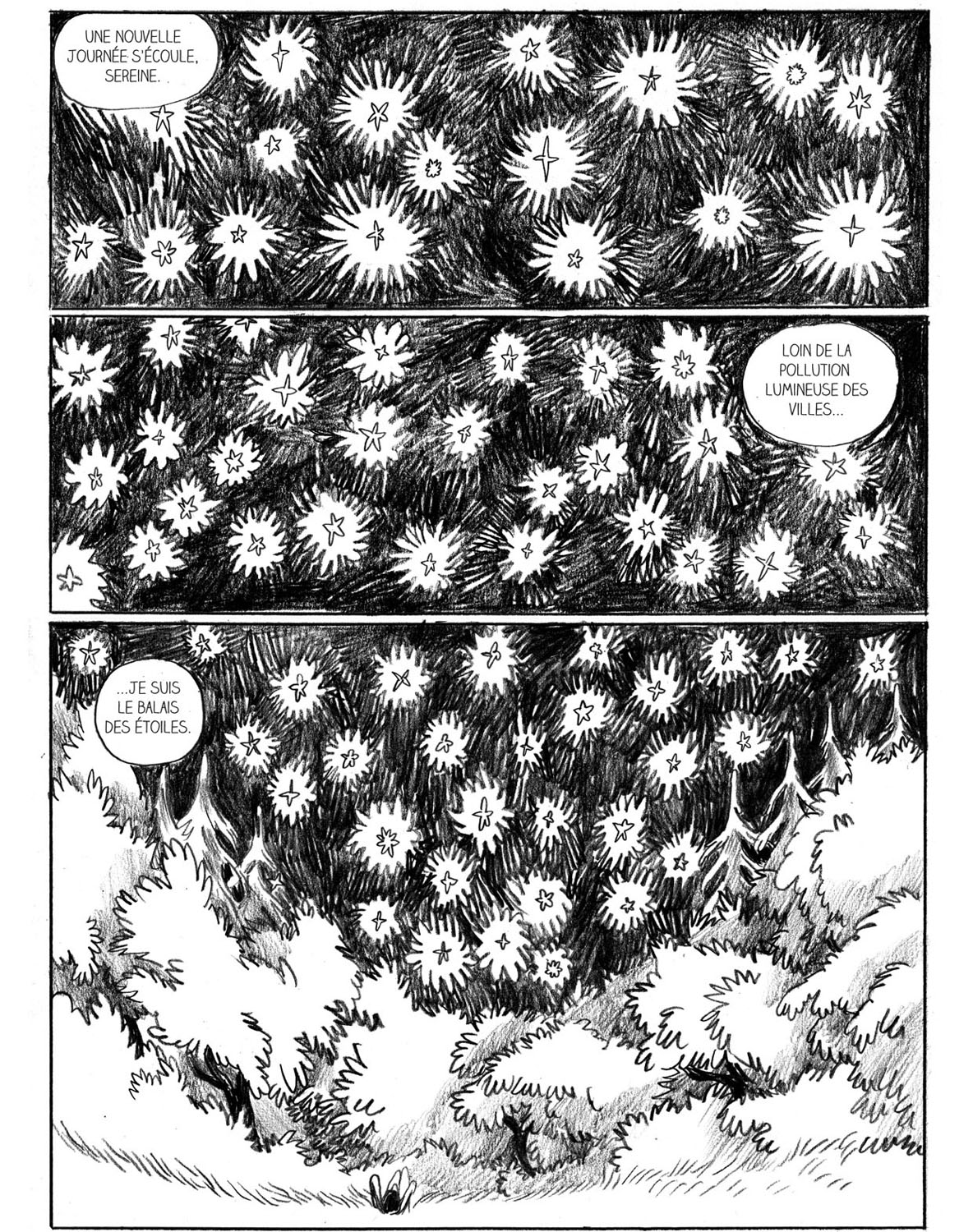 - Sauvage, ou la sagesse des pierres.- page 122