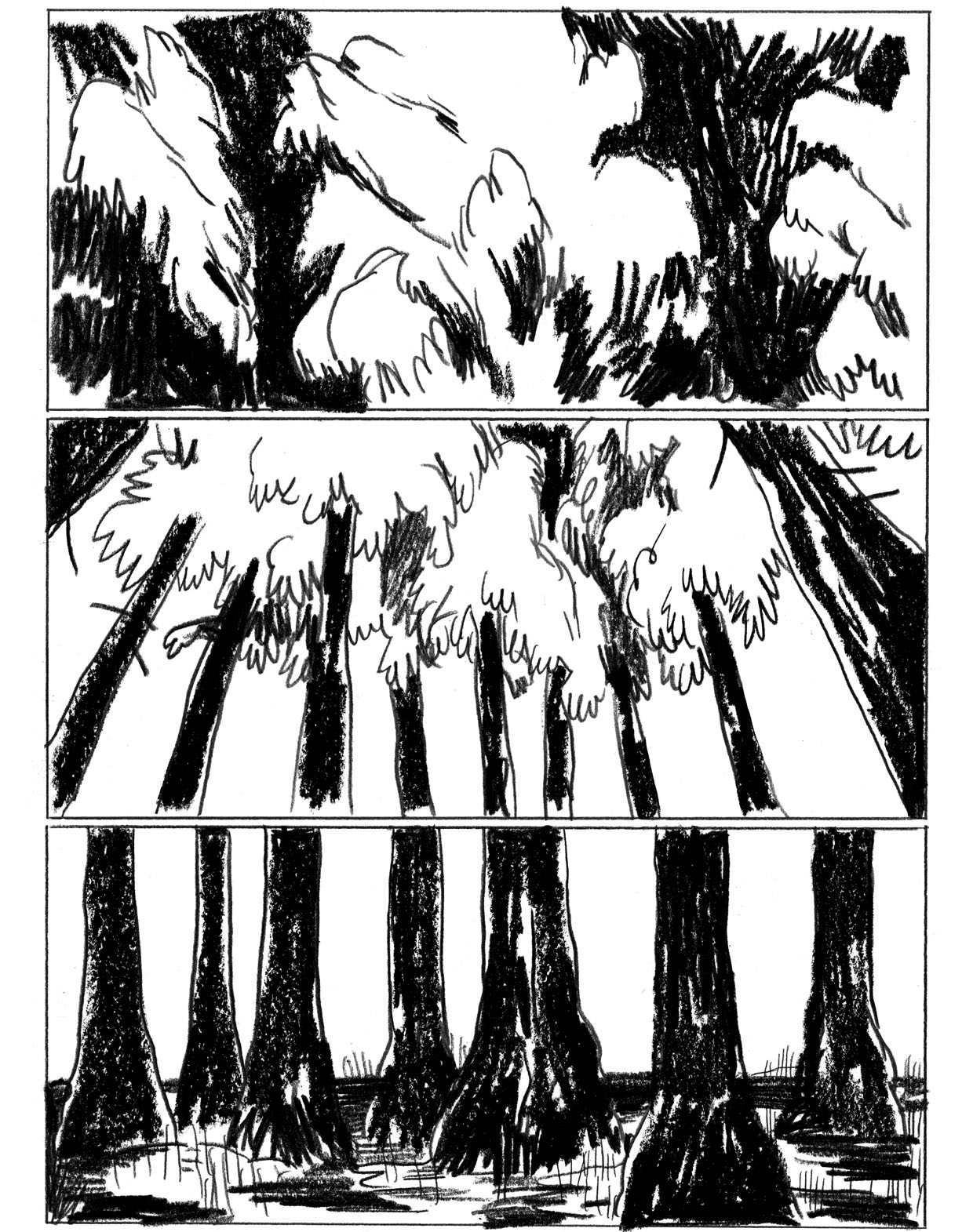 - Sauvage, ou la sagesse des pierres.- page 175