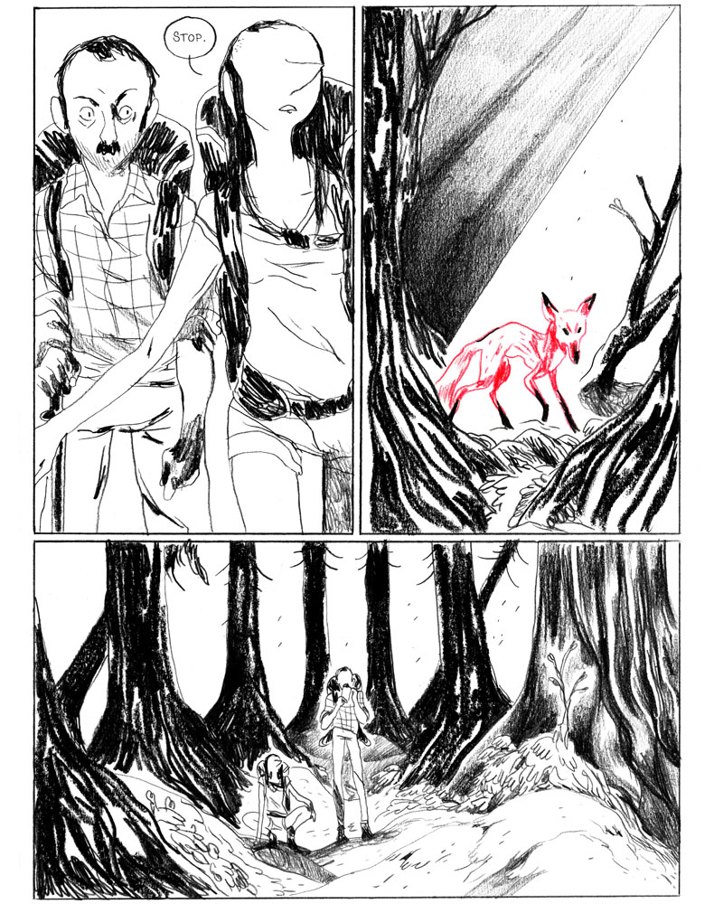 - Sauvage, ou la sagesse des pierres.- page 27