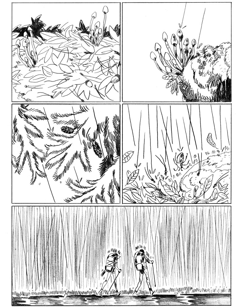 - Sauvage, ou la sagesse des pierres.- page 33