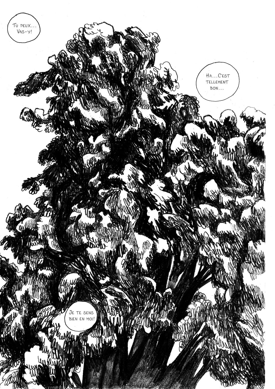 - Sauvage, ou la sagesse des pierres.- page 56