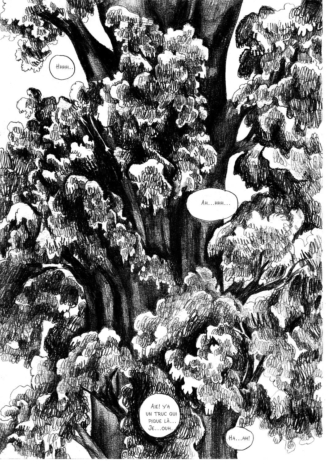 - Sauvage, ou la sagesse des pierres.- page 57