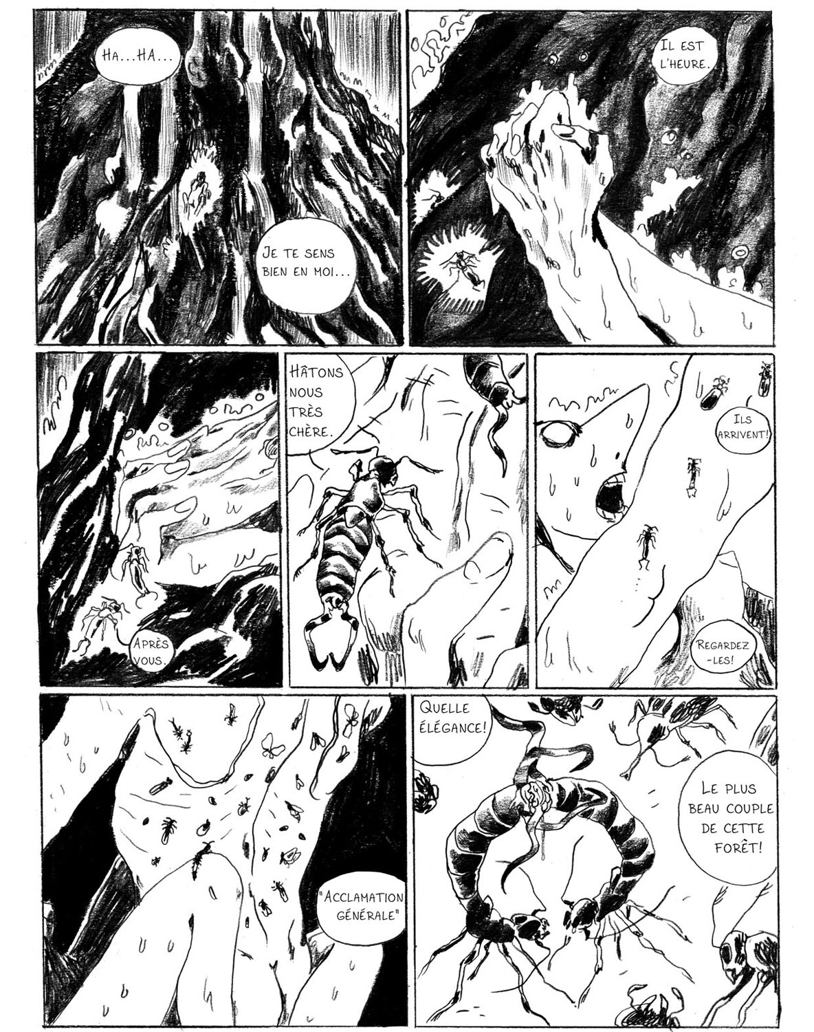 - Sauvage, ou la sagesse des pierres.- page 62