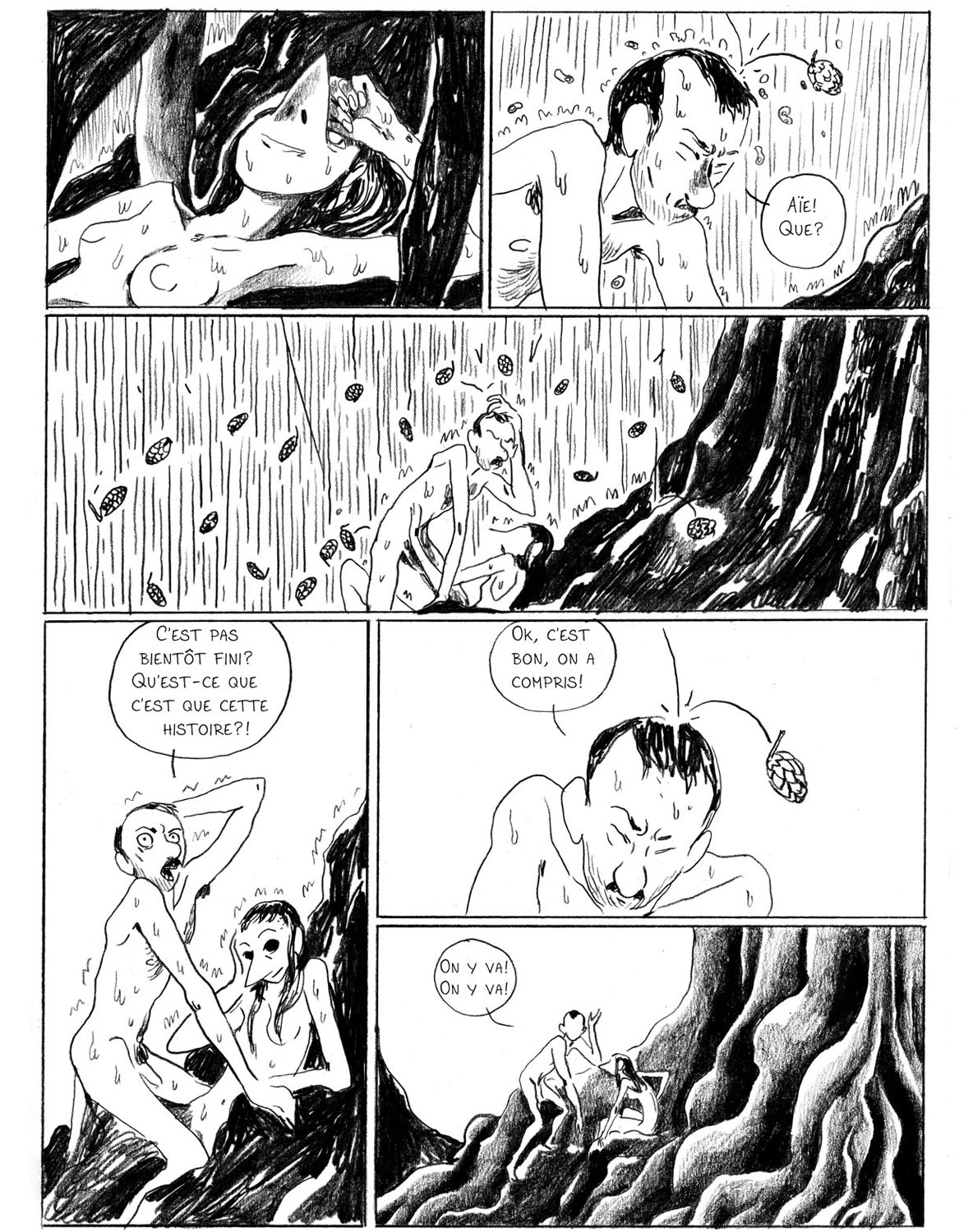 - Sauvage, ou la sagesse des pierres.- page 66