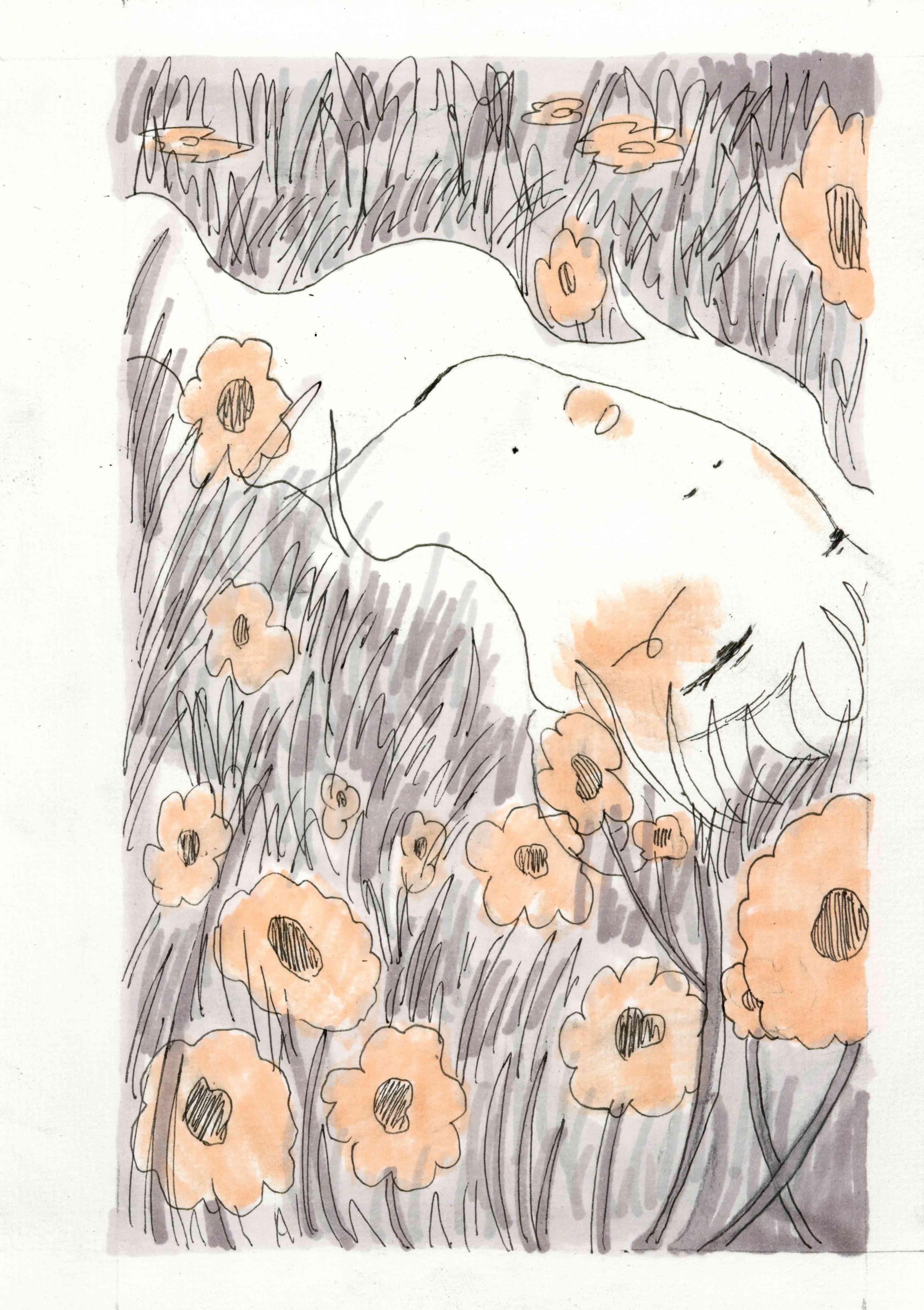 - On fuira dans les champs- page 12