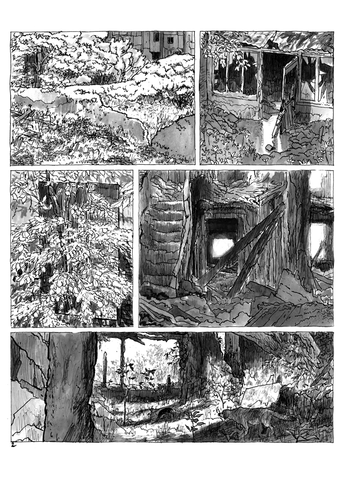 - Bruxelles bruxellait- page 2