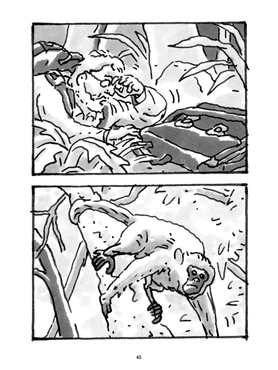 - Pas tristes tropiques- page 57