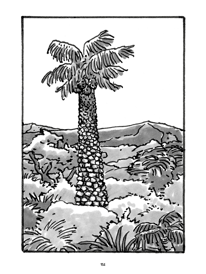 - Pas tristes tropiques- page 140