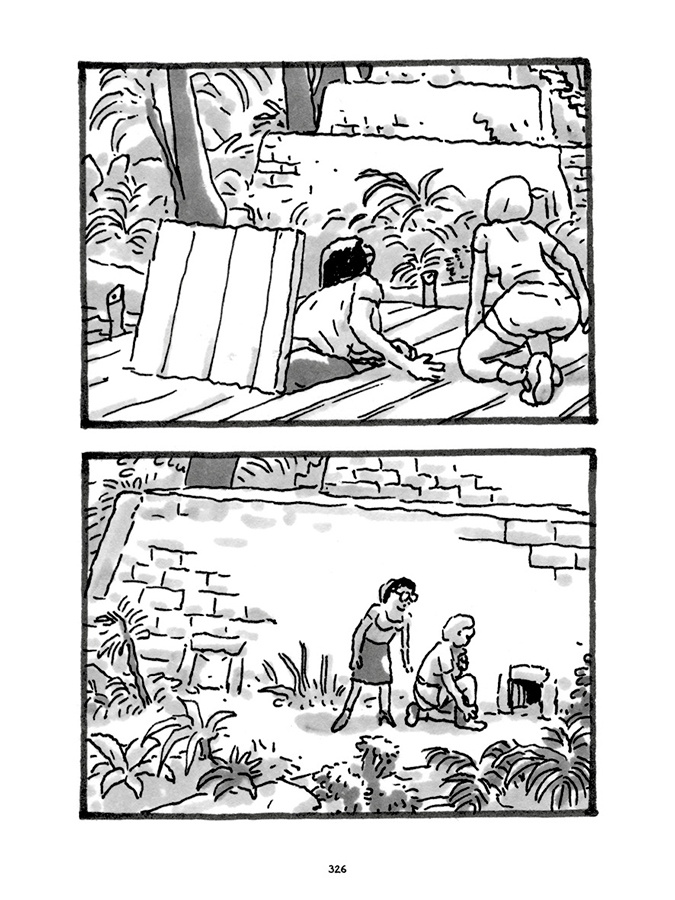 - Pas tristes tropiques- page 311