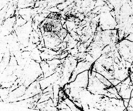 - noir à la noix- page 10