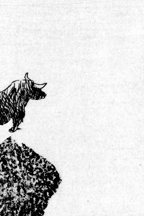 - noir à la noix- page 7