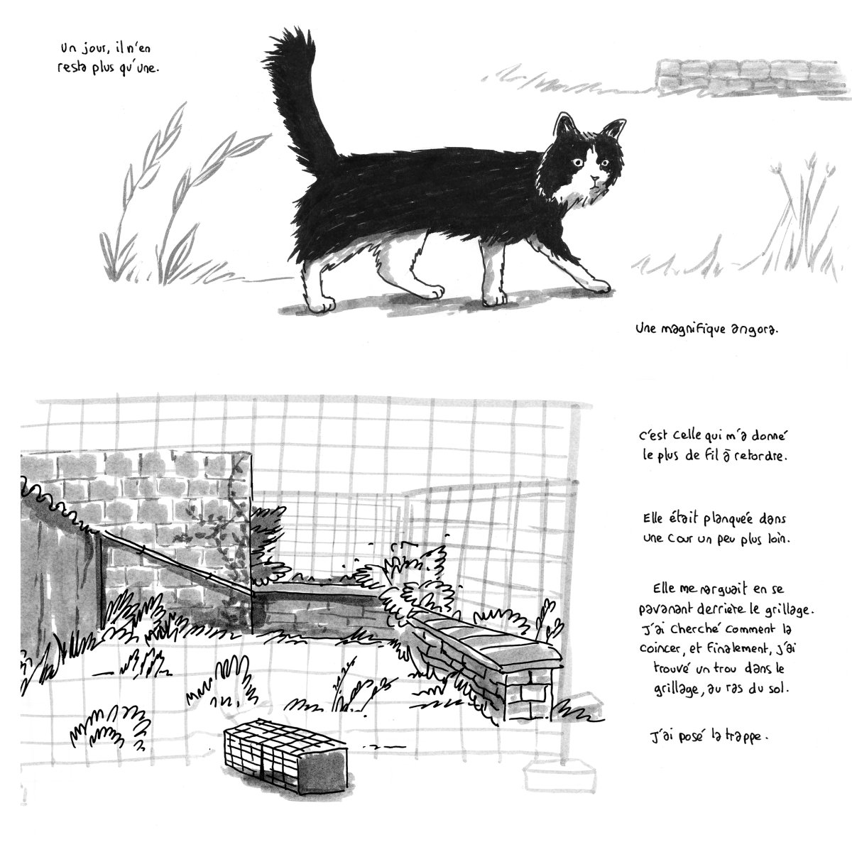 - Tout doit disparaître !- page 50