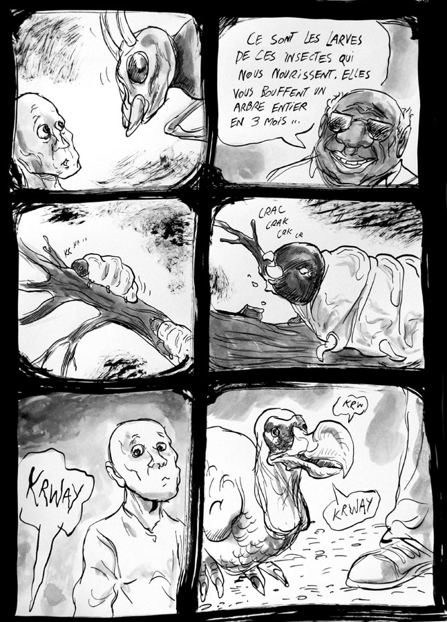 - Thylacine palace- page 13