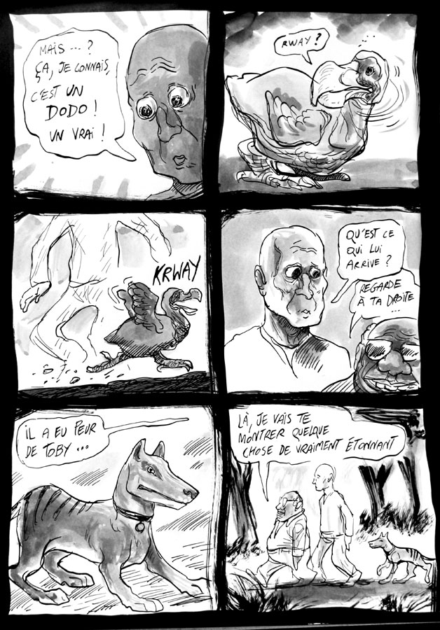 - Thylacine palace- page 14