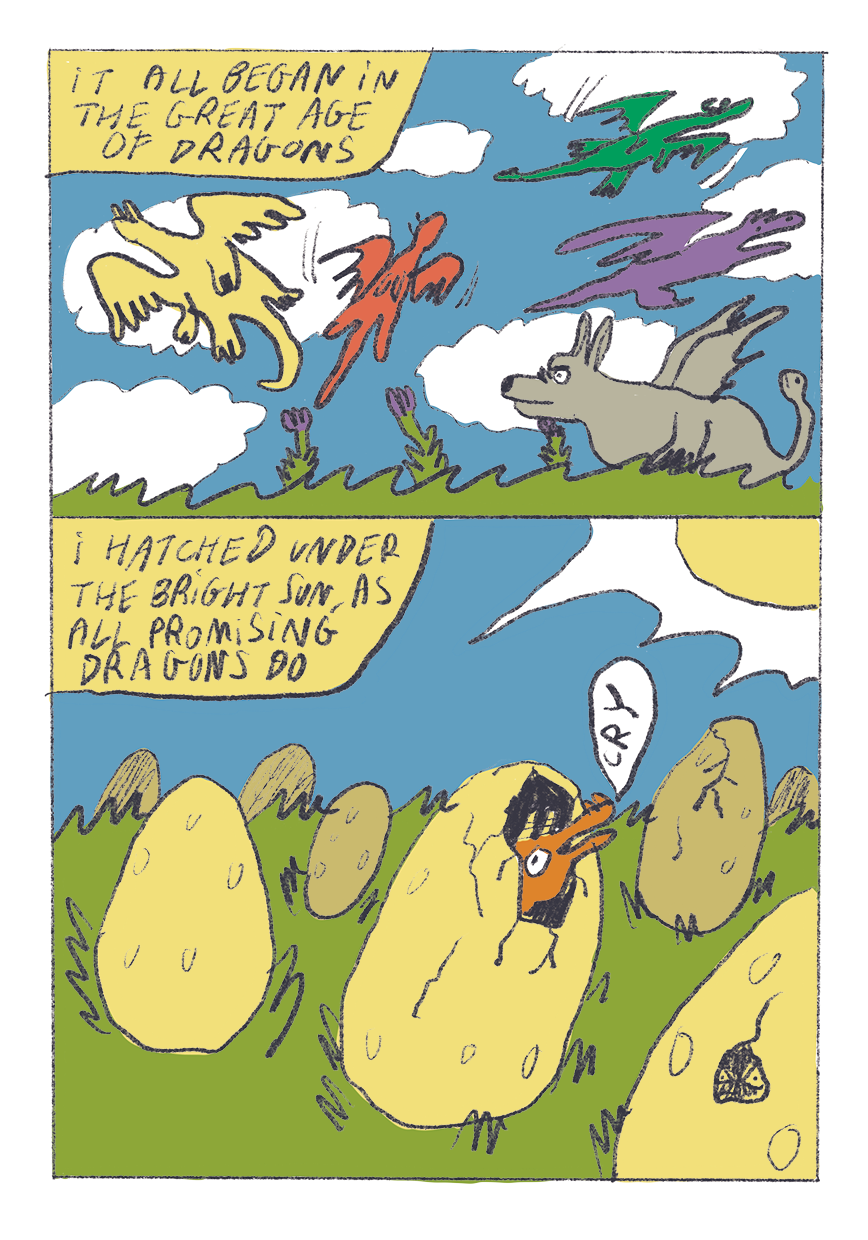 - Why dragons do what they do- page 11