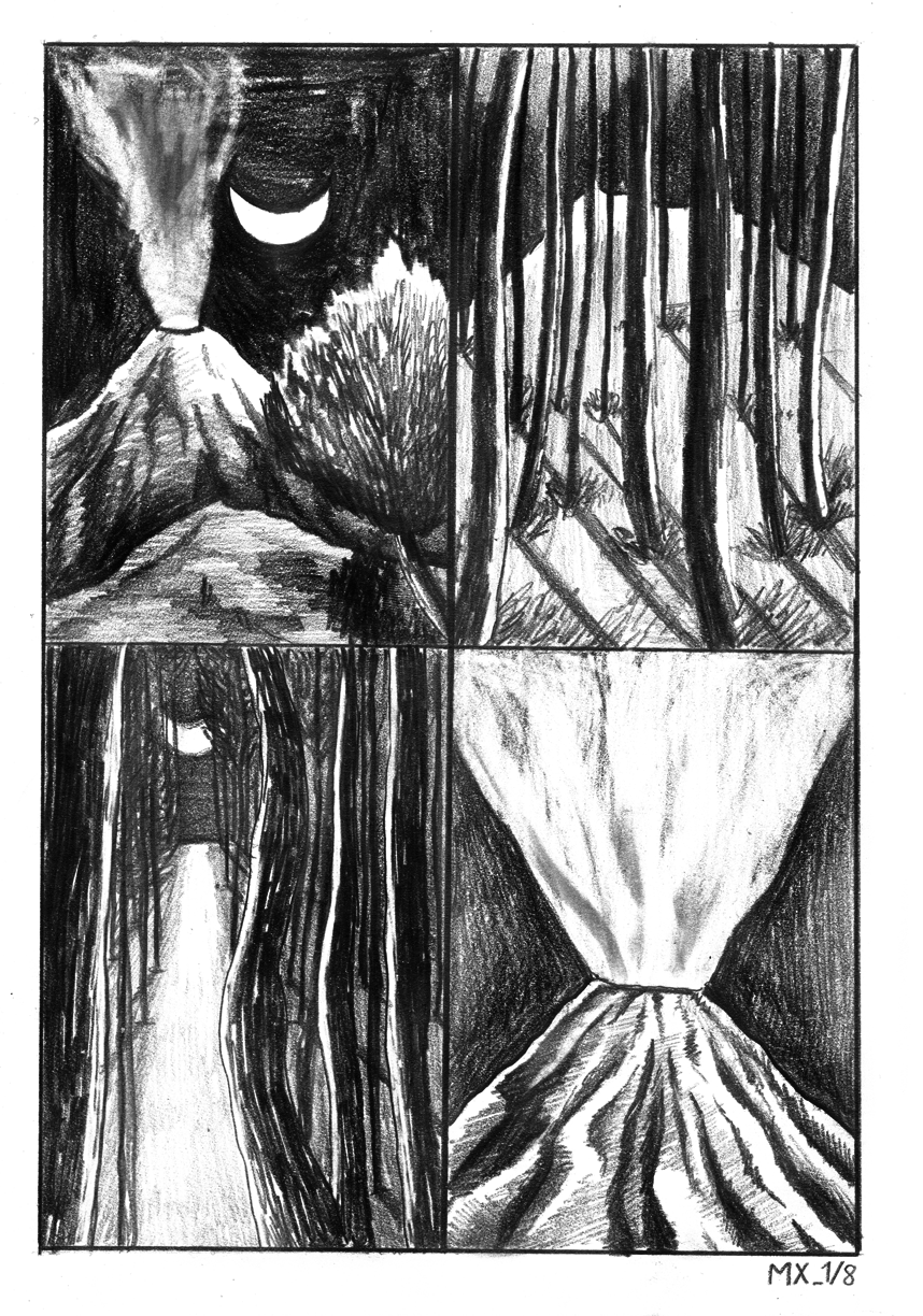 - 24H BD Indélébile/Toulouse- page 13