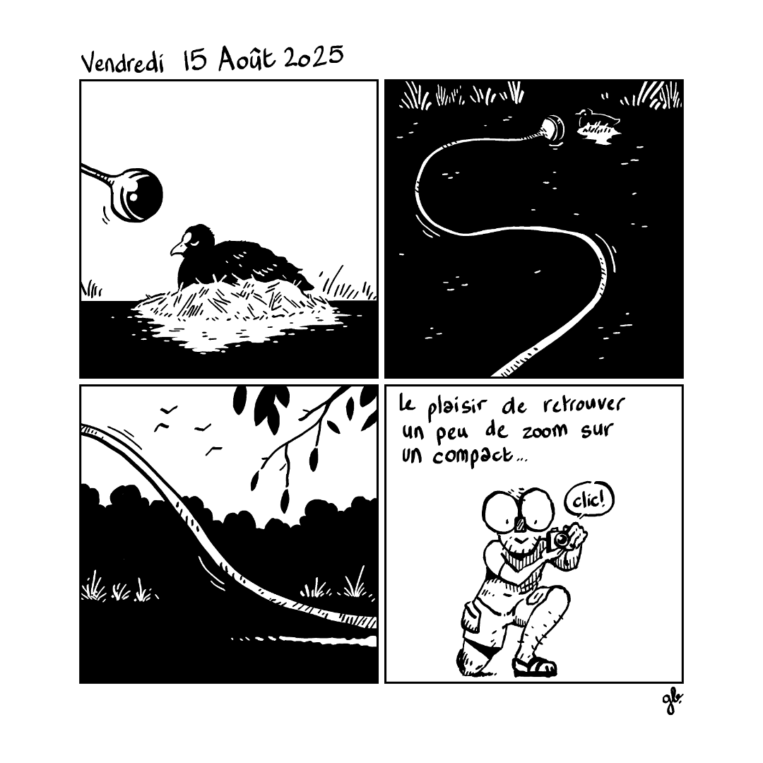 - Journal de Borde - Août 2025- page 11