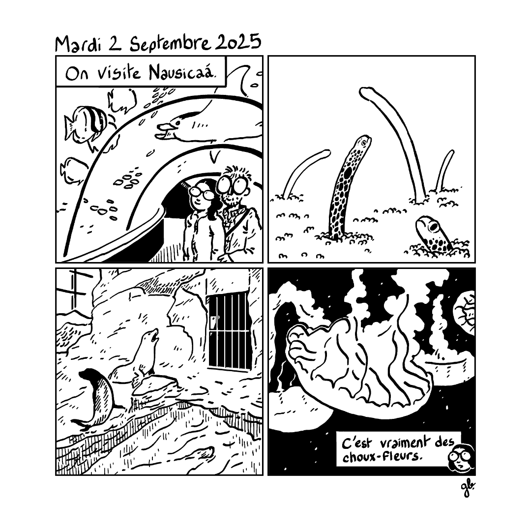 - Journal de Borde - Septembre 2025- page 2