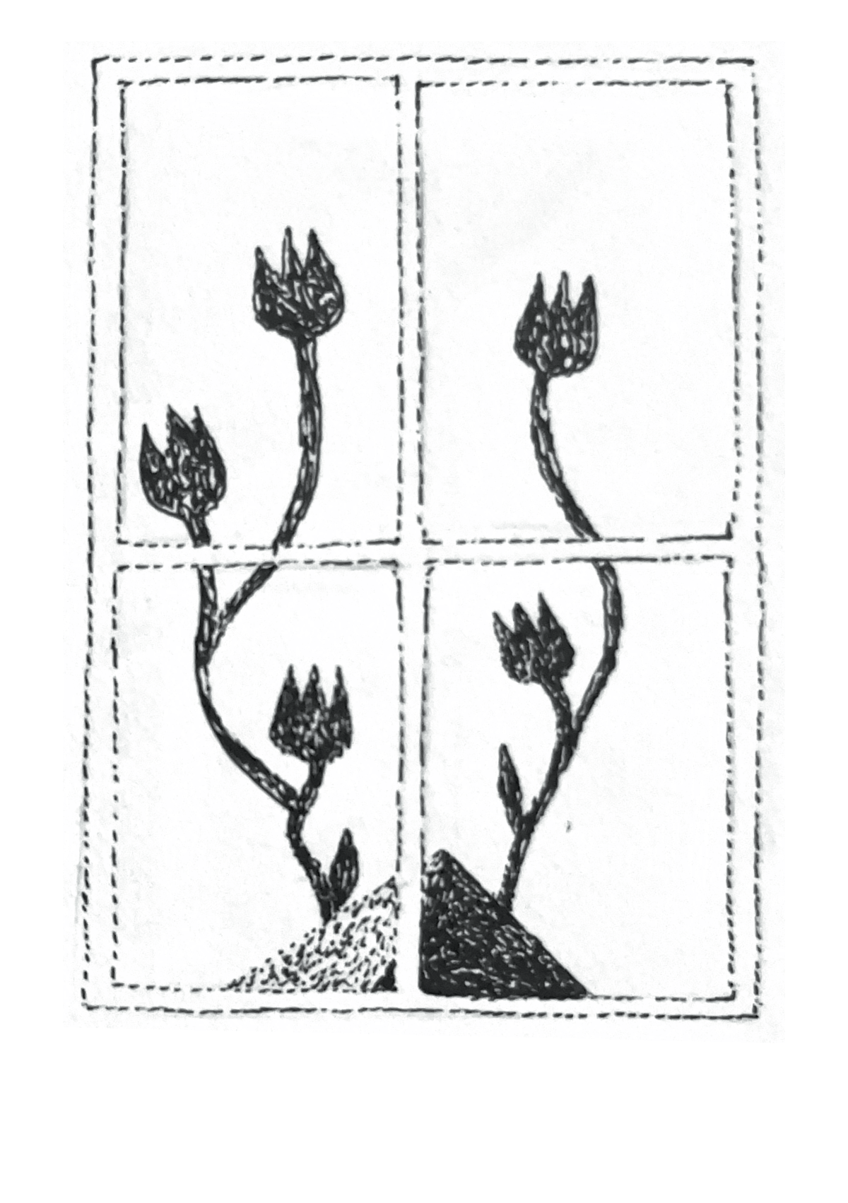 - LA FENÊTRE- page 12