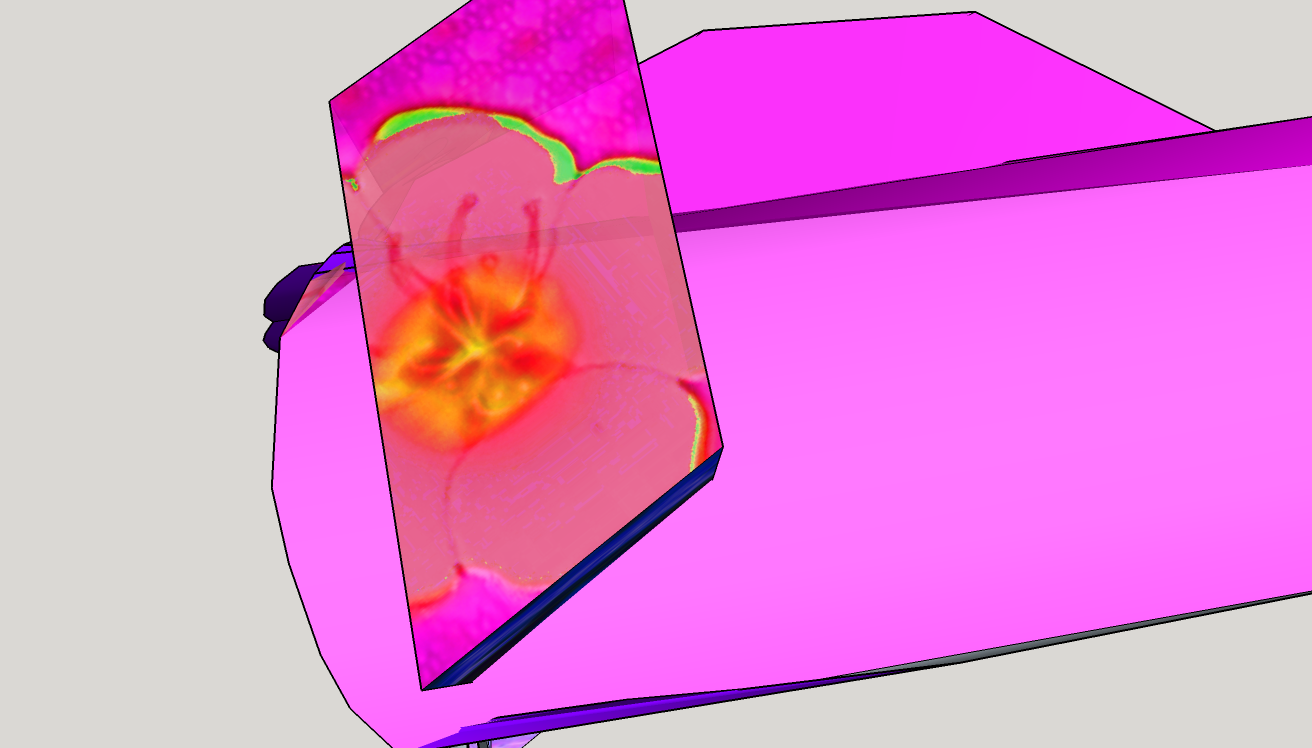 - Scotty (boi)- page 33