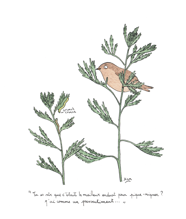 - Petites pensées colorées- page 18