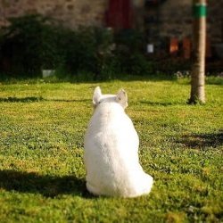 logo Le Bureau Provisoire