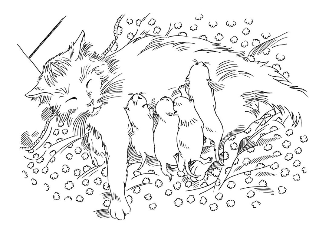 Léo Bret - Enquête de proxi-minetpage 6