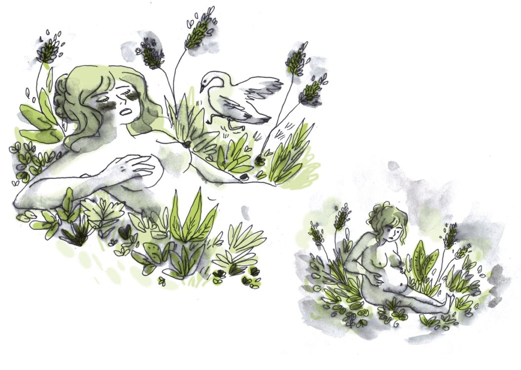 Sarah Ayadi - Leda et le Cygnepage 10