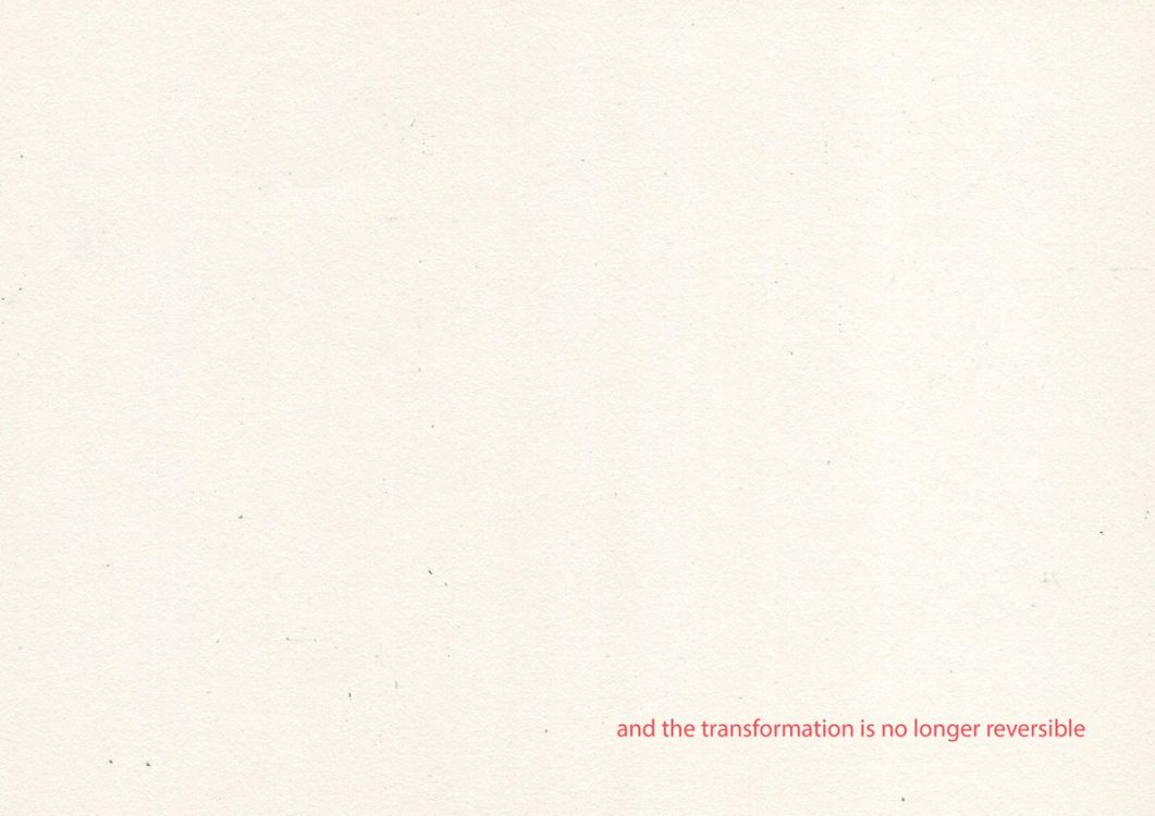 Elena Latini - Floor Exercise page 5