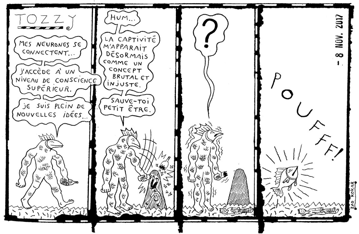 Zad Kokar - Tozzypage 49