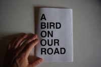A BIRD ON OUR ROAD By Gabriel Hernandez