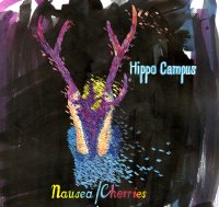 Hippo Campus par Stéphanie Paulus