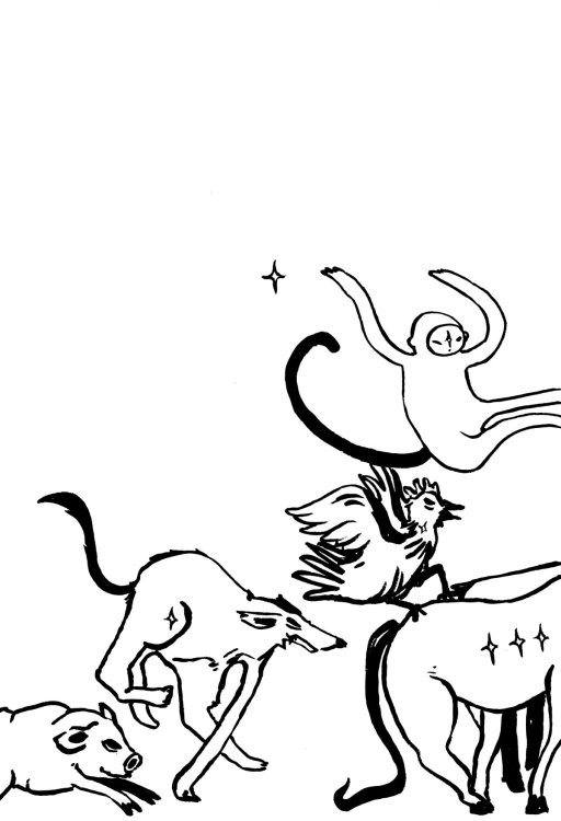 Jassi B - The Zodiac Racepage 9