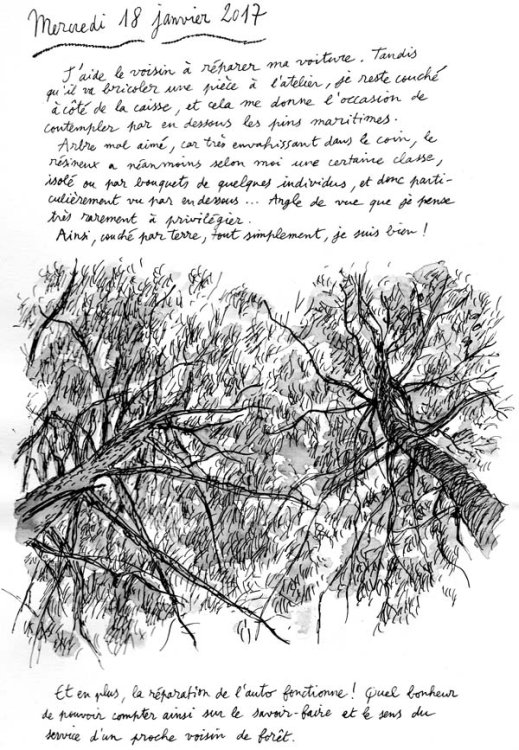 Jonvon Nias - Deux fois une semainepage 12