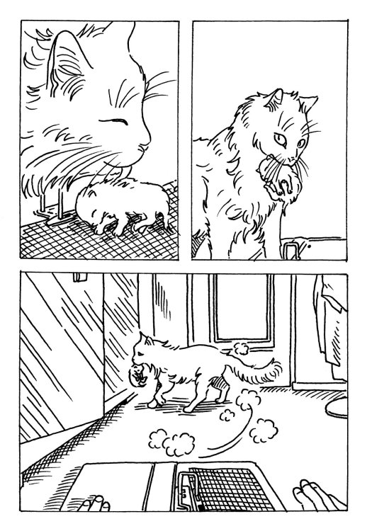 Léo Bret - Enquête de proxi-minetpage 23