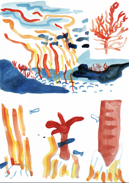  Reboucca - Sea Souppage 9