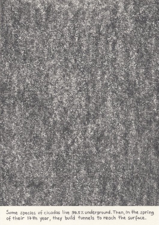 Elena Latini - Light draws oblique geometriespage 5