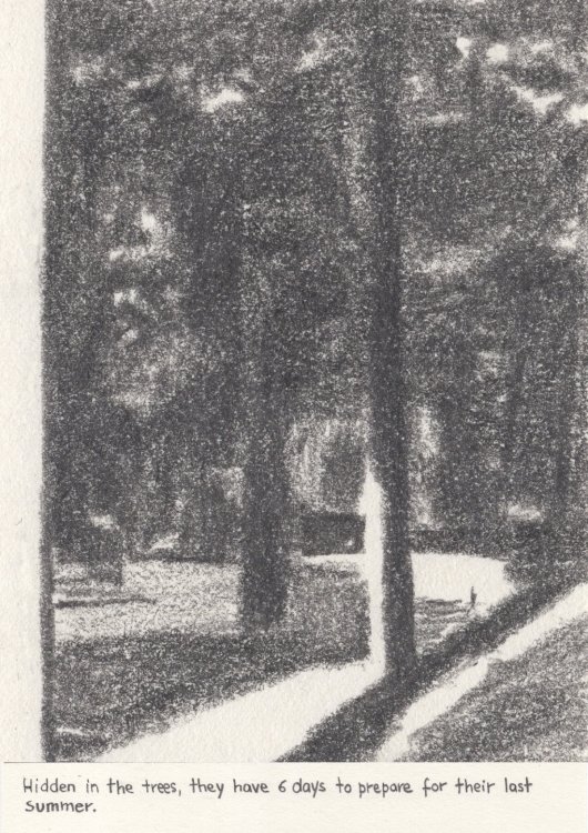 Elena Latini - Light draws oblique geometriespage 6