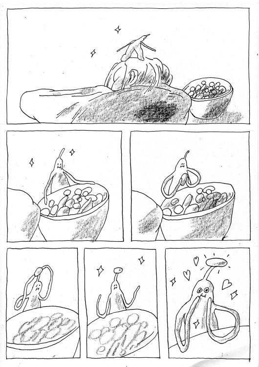 Nieminen Essi - Once upon a magical nightpage 5