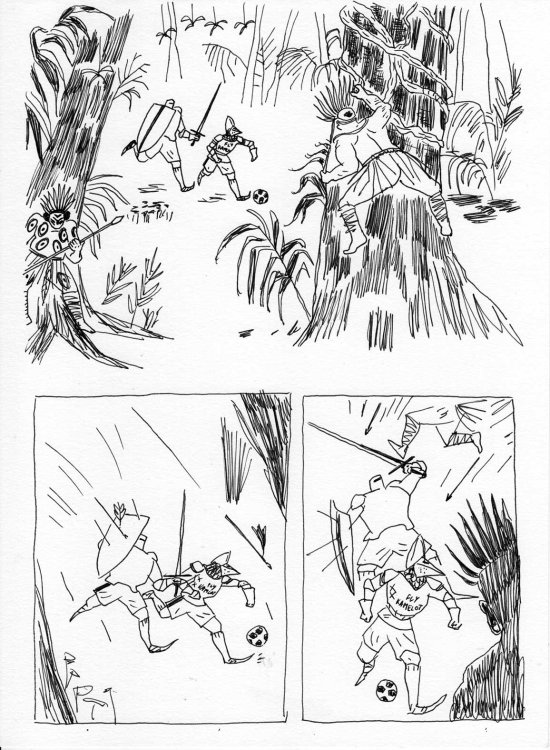 Guillaume Carreau - La grande traverséepage 9