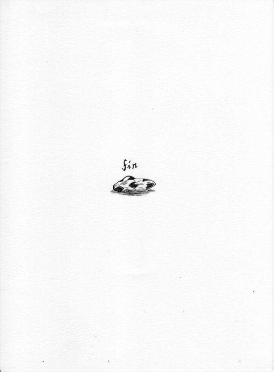 Guillaume Carreau - La grande traverséepage 15