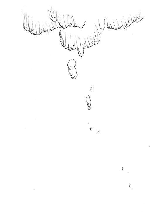 Maxime Schertenleib - La dansepage 26